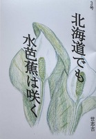 北海道でも水芭蕉は咲く