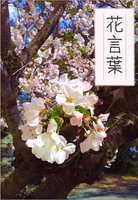かざぐるま2018冬号「花言葉」