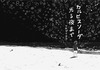 カルピスソーダ光る夜まで
