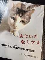 あたいの散りざま