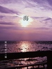 海