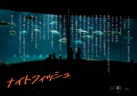 ナイトフィッシュ