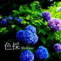 色採