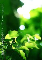 リドゥリー・シュライアの不幸と幸運