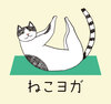 ねこヨガ