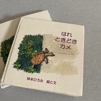 はれときどきカメ