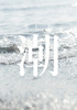 潮