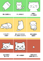 状態カード