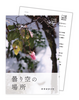 フリーペーパー・薔薇のつぼみ