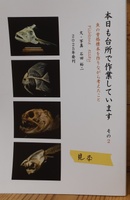 本日も台所で作業しています その2