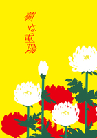 菊は重陽