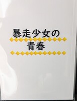 暴走少女の青春