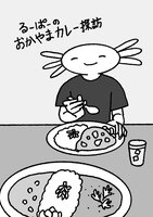 るーぱーのおかやまカレー探訪