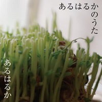あるはるかのうた