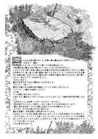 岩トカゲと巻き毛の人魚 名場面その8 花につつまれた墓石