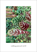 walking postcard vol.12
