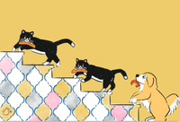 猫と犬 ボクにつづいて