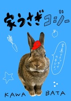 家うさぎコジー
