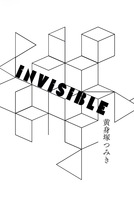 INVISIBLE