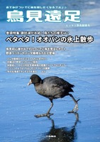 鳥見遠足(ヒンヤリ野鳥観察号)