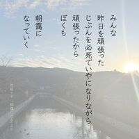 詩のしーる「朝靄になる」