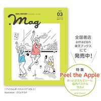 IDOL REPORT .mag vol.3