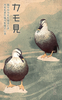 カモ見