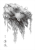 浮遊