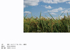 【既刊】eten (zine)