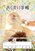 お薬手帳