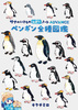 ペンギン全種図鑑〈サナのいきものひみつノートADVANCE〉