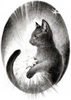 星を狩る猫(仮)