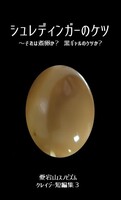 シュレディンガーのケツ 〜それは煮卵か? 黒ギャルのケツか?