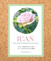 ICANポストカード「平和と希望のばら 咲きました」