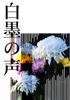 白墨の声