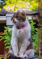 ぬこの世界