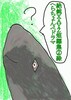 絶飩XAYZ短編集2緑