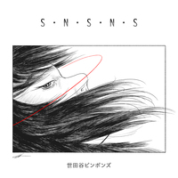 『S・N・S・N・S』カセットver