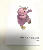 花ぺんぎん観察日記