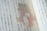 しおり 都道府県のへそ