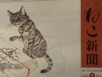 月刊『ねこ新聞』2022年4月号