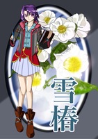 雪椿
