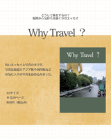 Why Travel ?