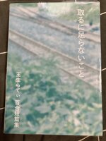 取るに足らないこと