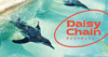 DAISY CHAIN vol.29