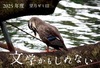 文学かもしれない