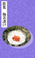 歌集 梅茶漬け