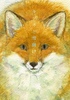 キツネと雪融け