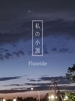 私の小説