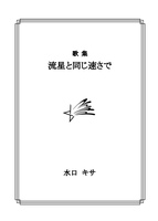 流星と同じ速さで